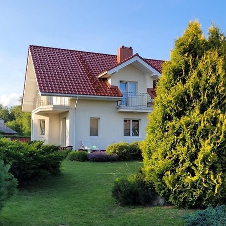 Chalet Villa Rex Druskininkai Kültér fotó
