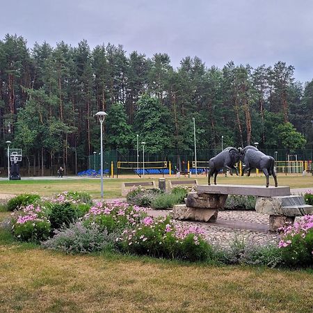 Chalet Villa Rex Druskininkai Kültér fotó