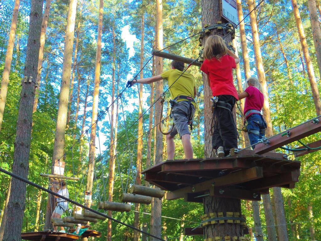 Chalet Villa Rex Druskininkai Kültér fotó