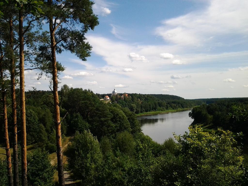 Chalet Villa Rex Druskininkai Kültér fotó