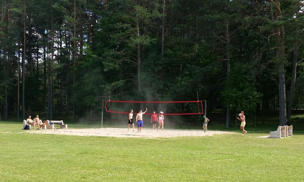 Chalet Villa Rex Druskininkai Kültér fotó