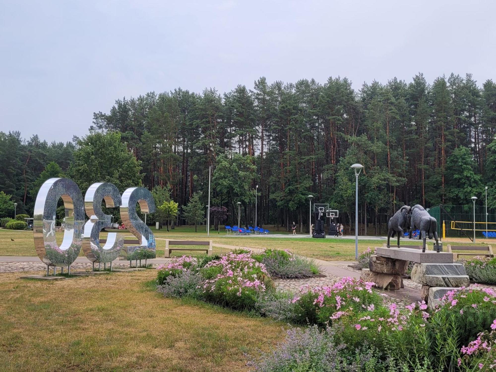 Chalet Villa Rex Druskininkai Kültér fotó
