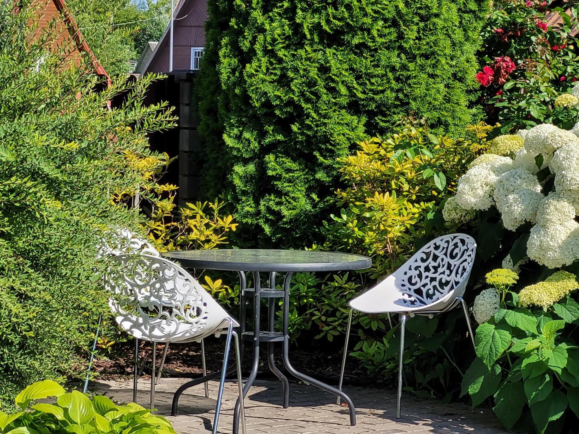 Chalet Villa Rex Druskininkai Kültér fotó