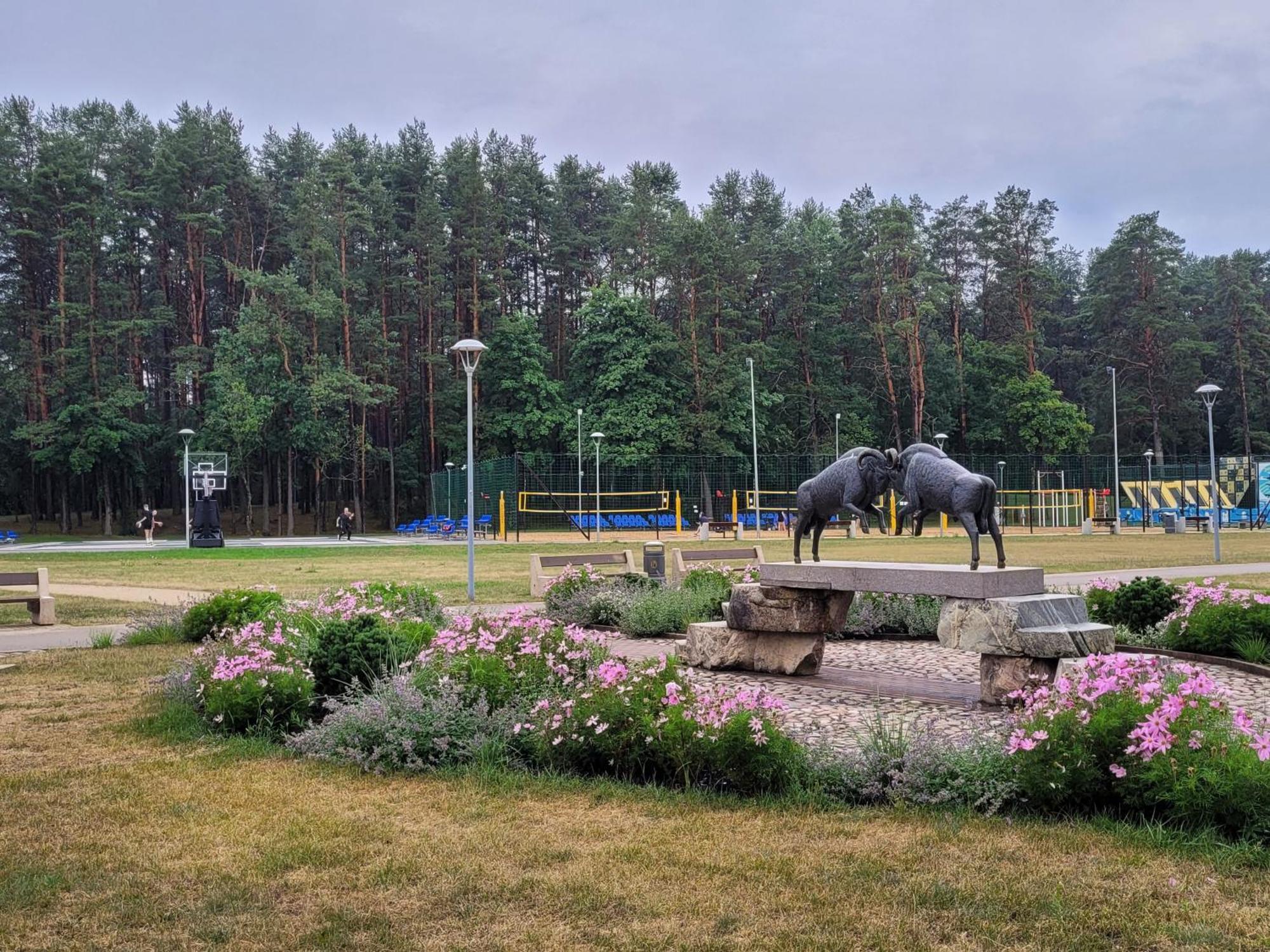 Chalet Villa Rex Druskininkai Kültér fotó
