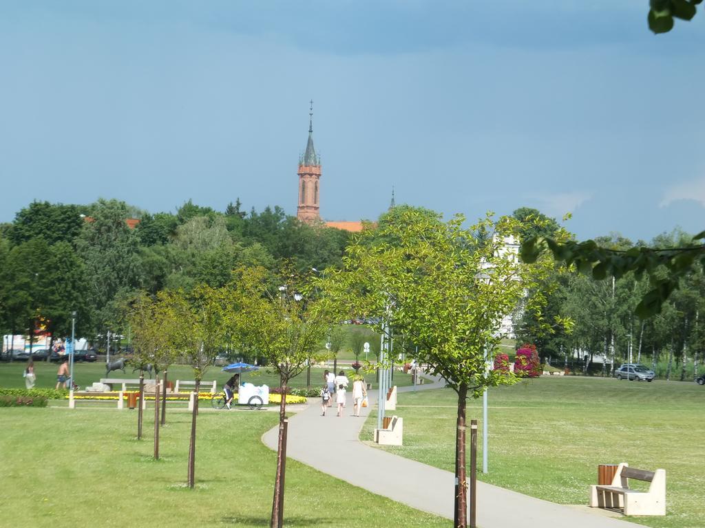 Chalet Villa Rex Druskininkai Kültér fotó
