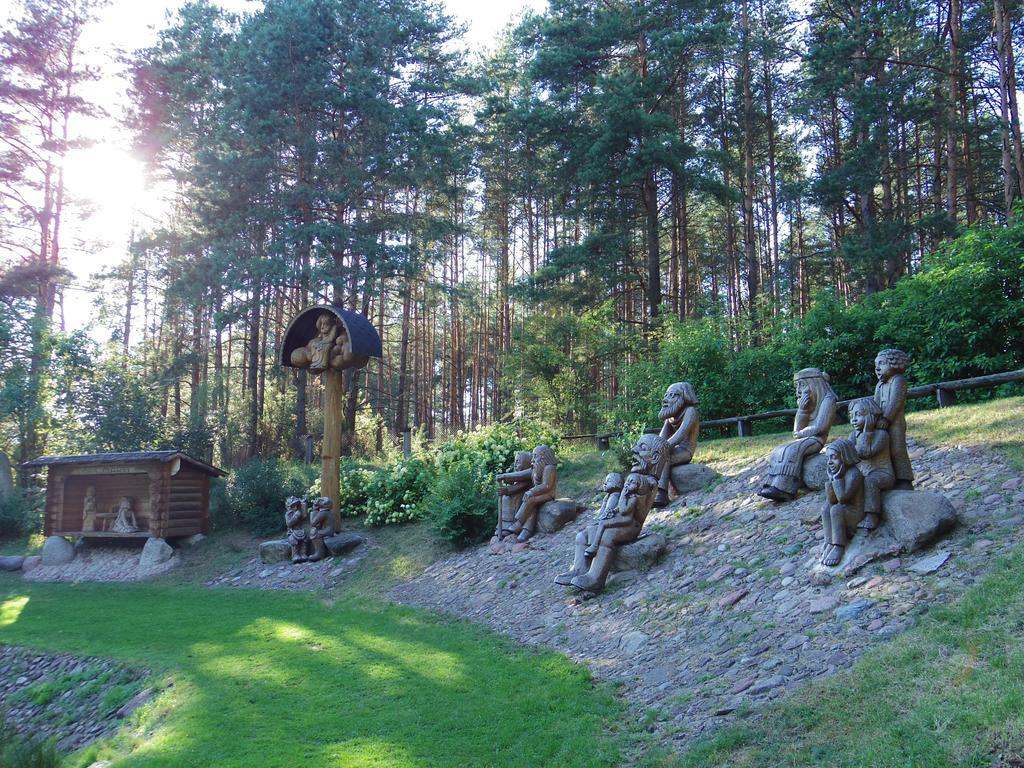 Chalet Villa Rex Druskininkai Kültér fotó