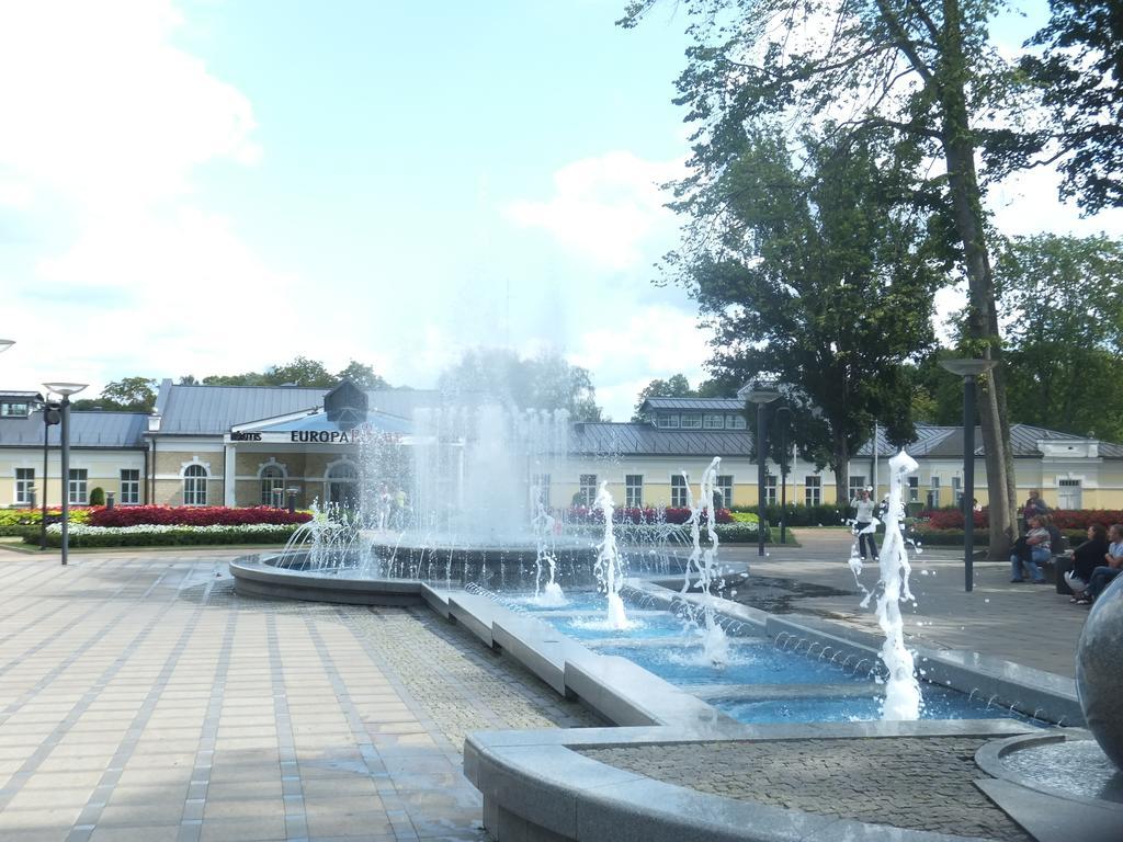 Chalet Villa Rex Druskininkai Kültér fotó