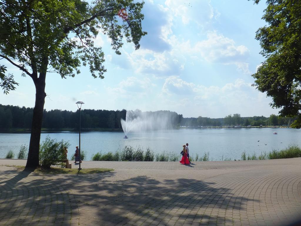 Chalet Villa Rex Druskininkai Kültér fotó