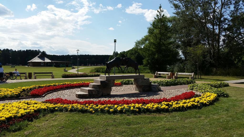 Chalet Villa Rex Druskininkai Kültér fotó