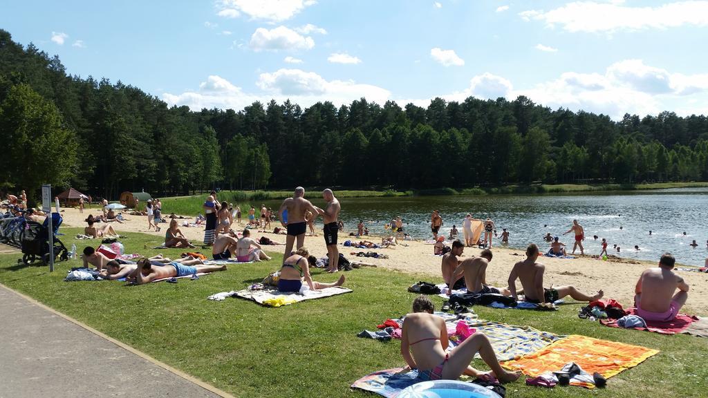 Chalet Villa Rex Druskininkai Kültér fotó
